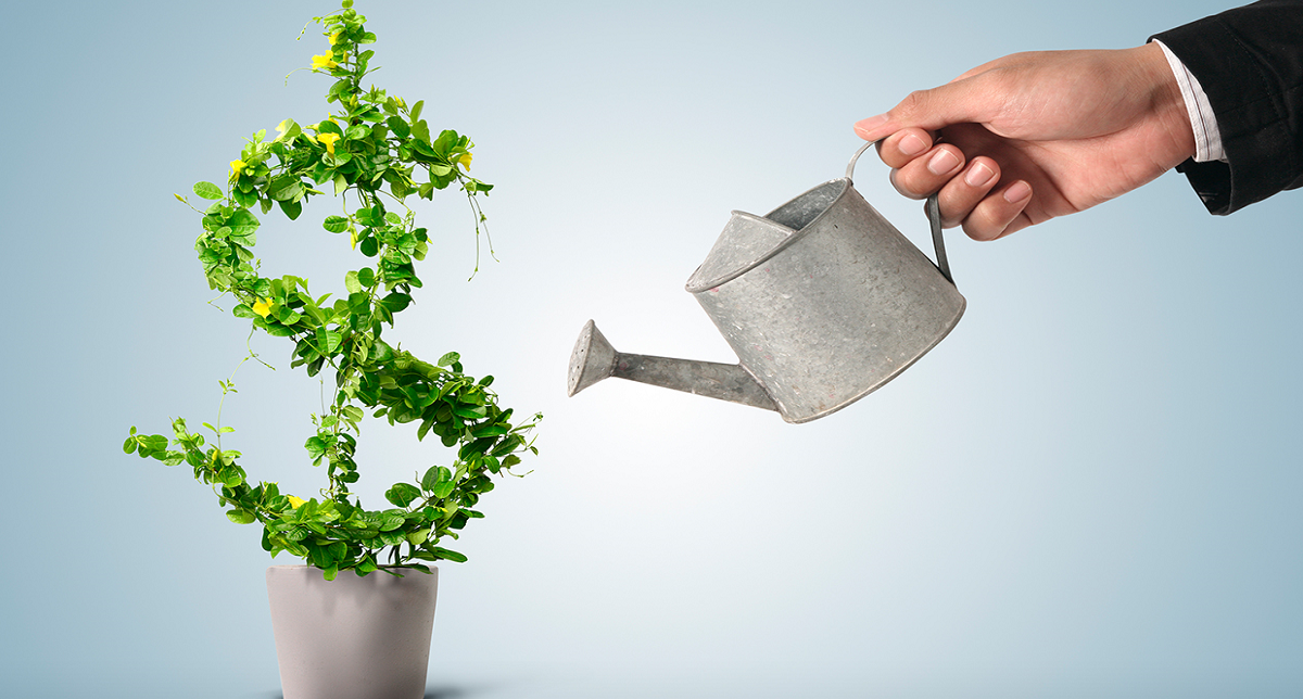 Diferença entre Liberdade e Independência na área financeira